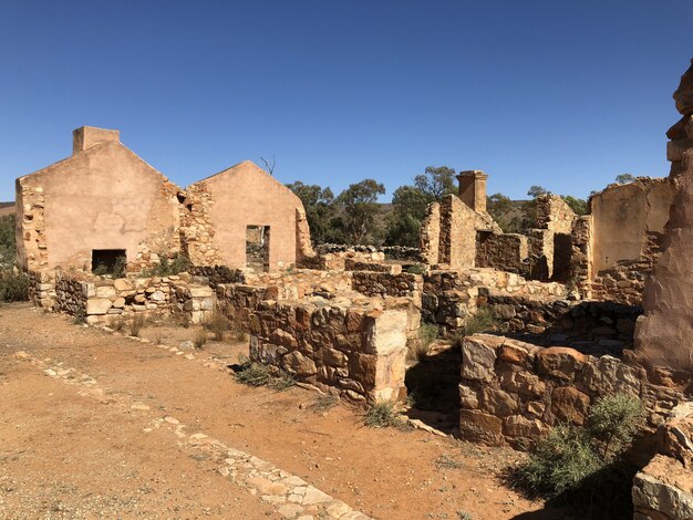 Ruines dans le désert avec des arbres et un ciel bleu clair