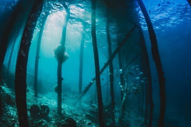 Ruines sous la mer