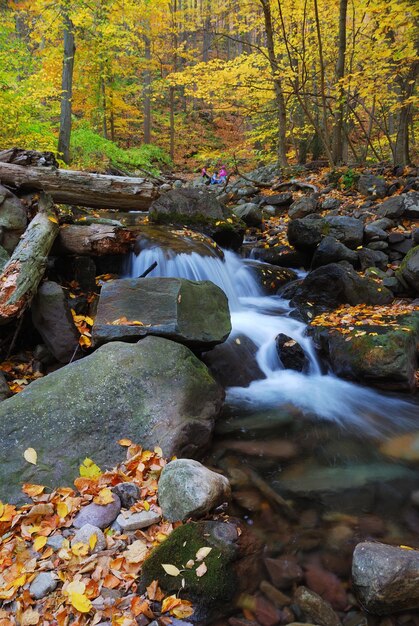 Ruisseau d'automne