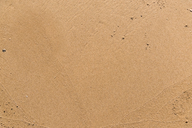 Sable plat sur un fond texturé de plage