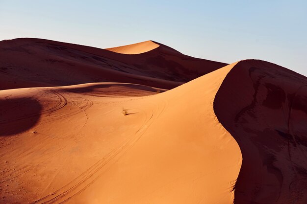 fille joue avec du sable dans le desert du sahara erg chebbi merzouga maroc photo premium