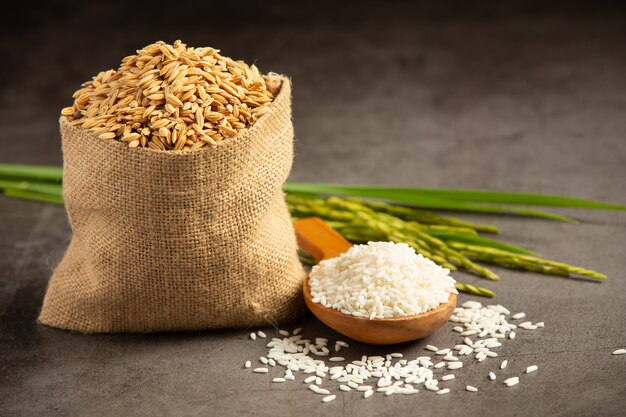 Un sac de graines de riz avec du riz blanc sur une petite cuillère en bois et un plant de riz