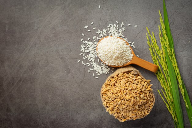 Un sac de graines de riz avec du riz blanc sur une petite cuillère en bois et un plant de riz