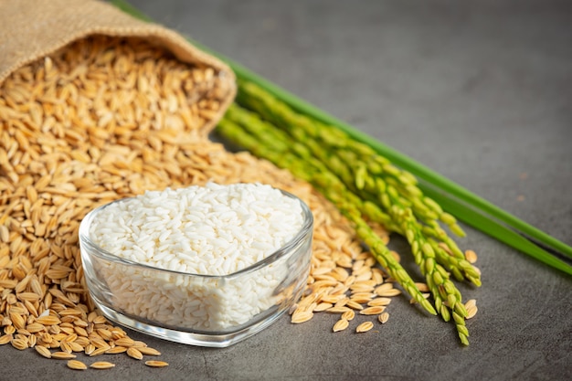 Sac de graines de riz avec riz blanc sur petit bol en verre et plant de riz