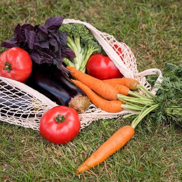 Photo gratuite sac et légumes bio high view