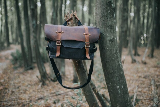 Sac de randonnée en cuir accroché à une branche d'un arbre dans une forêt