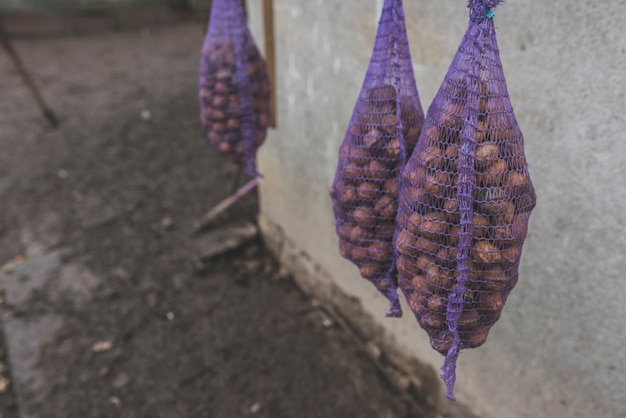 Photo gratuite sacs de pommes de terre à la ferme