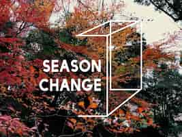 Photo gratuite la saison d'automne change la nature de beaux paysages