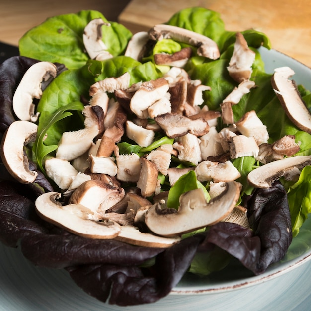 Photo gratuite salade de champignons vue de dessus