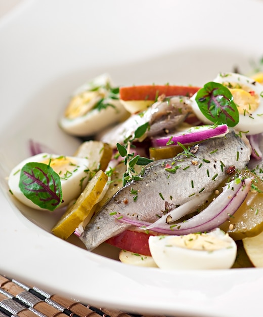 Photo gratuite salade de hareng, pommes et œufs