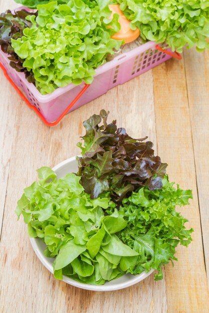 Photo gratuite salade de légumes