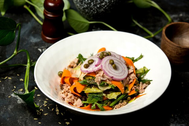 salade de poulet avec oignon, légumes verts et carotte