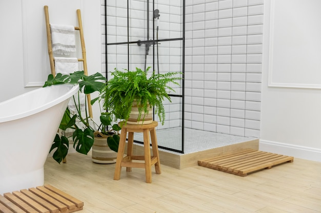 Salle de bain design d'intérieur avec baignoire et douche