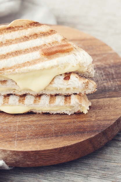 Photo gratuite sandwich au fromage