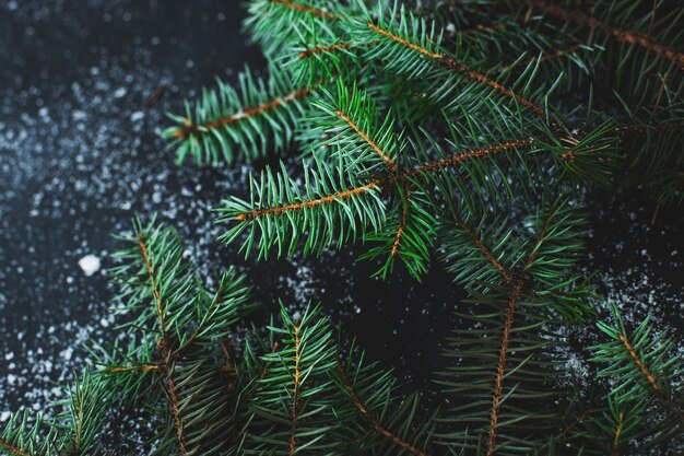 Sapin de Noël sur la surface sombre avec de la neige