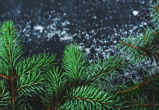 Sapin de Noël sur la surface sombre avec de la neige