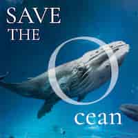 Photo gratuite sauvez l'océan campagne baleine nageant dans l'océan remix media