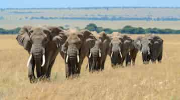 Photo gratuite scène photoréaliste d'éléphants sauvages