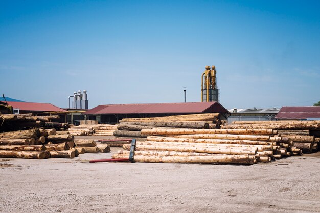 Scierie pour la production de planches de bois