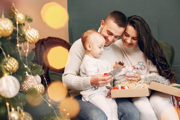 Séance famille, chez soi, près, arbre noël