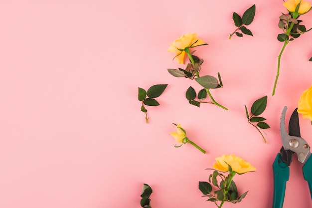 Sécateur près de fleurs coupées