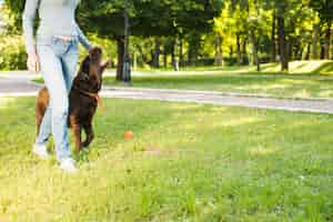 Photo gratuite section basse, vue, femme, marche, chien, jardin