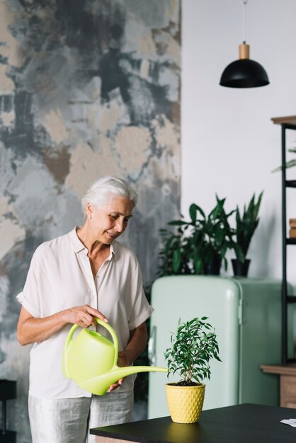 Senior femme souriante arroser la plante en pot sur le comptoir de la cuisine