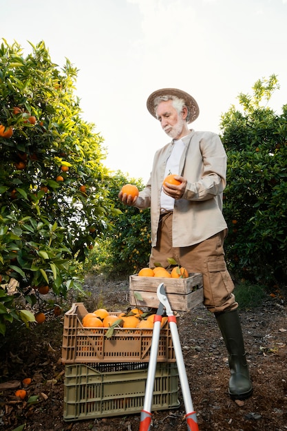Senior homme debout à côté de ses orangers