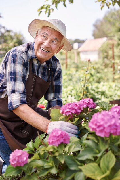 Senior homme travaillant dans le domaine avec des fleurs