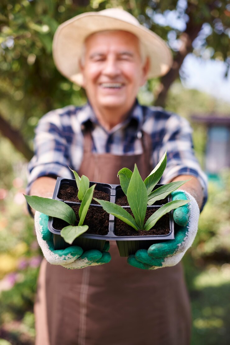 Photo gratuit senior homme travaillant dans le domaine avec des plantes