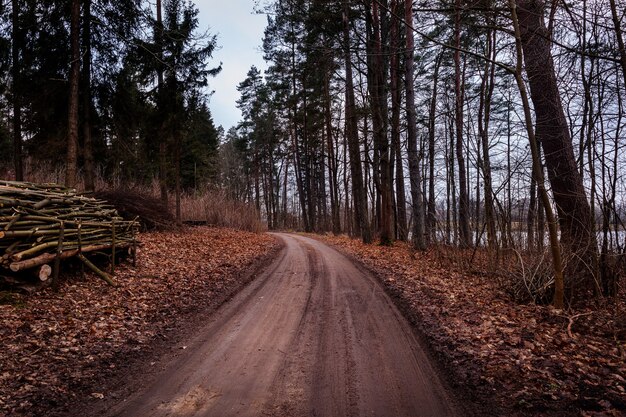 Sentier au bord du lac au milieu de la forêt d'automne