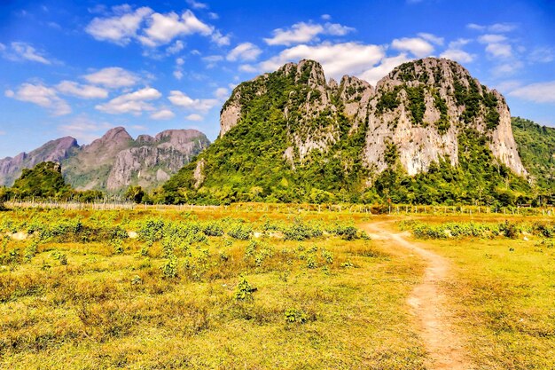 Sentier au milieu du champ avec des montagnes au loin