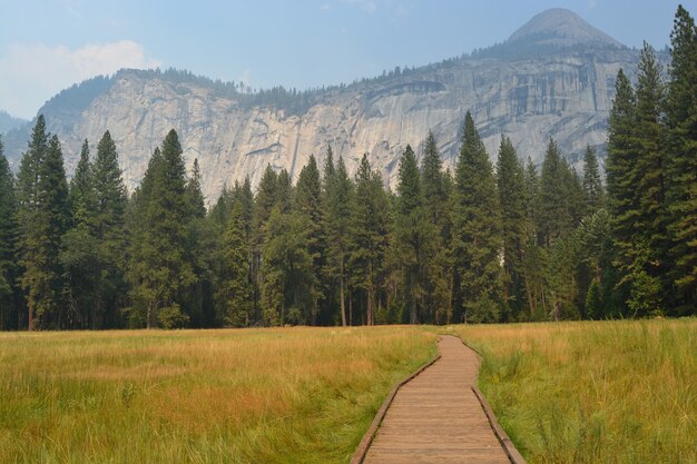 Sentier en bois au milieu de la pelouse avec des arbres et des montagnes au loin