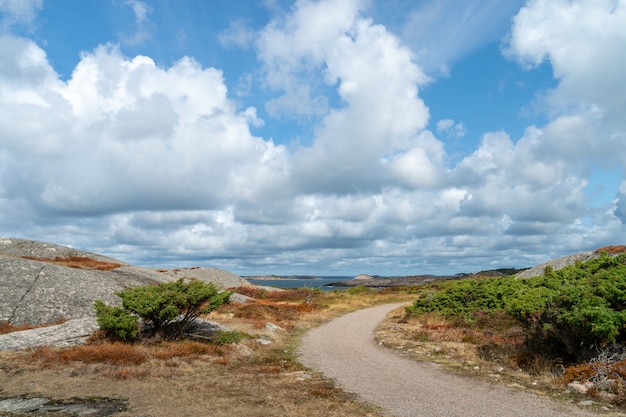 Sentier entouré de rochers et d'herbe dans un champ sous un ciel nuageux et la lumière du soleil pendant la journée