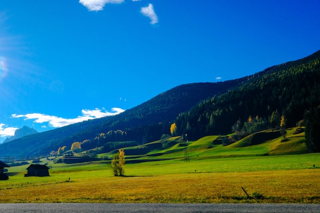 Sentier près du champ herbeux et montagne boisée avec ciel bleu