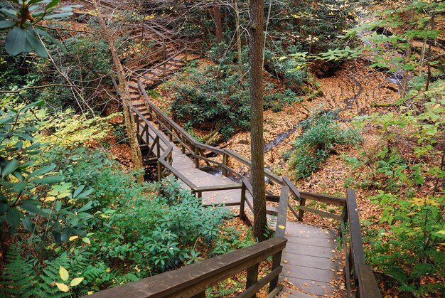 Sentier de randonnée d'automne