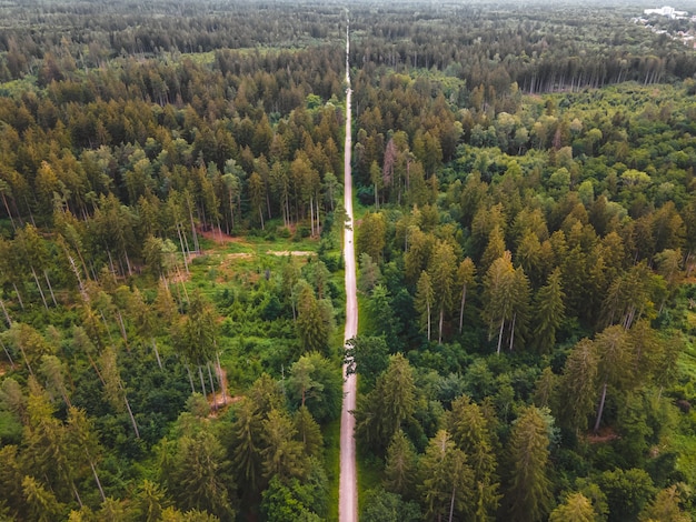 Un sentier de randonnée rectiligne à travers la forêt.