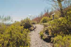 Photo gratuite sentier de randonnée