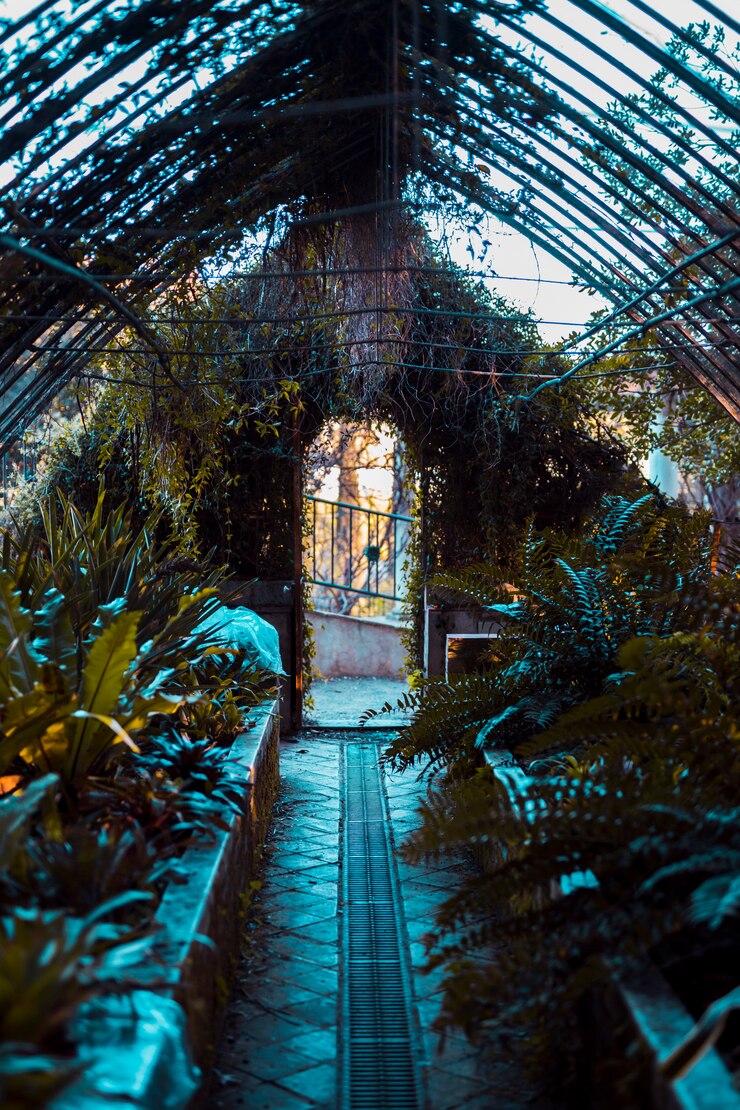 Photo gratuit serre avec des plantes botaniques