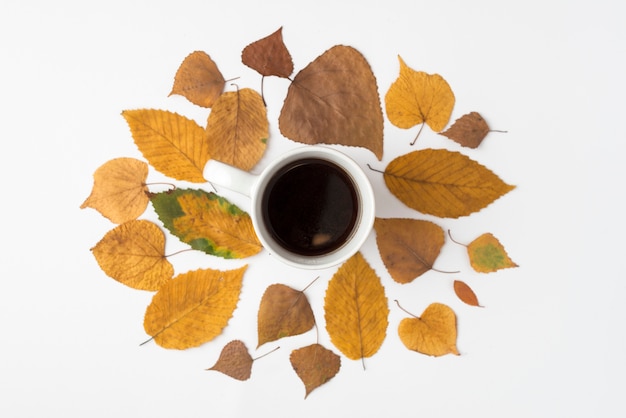 Photo gratuite sertie de feuilles séchées et d'une tasse de café