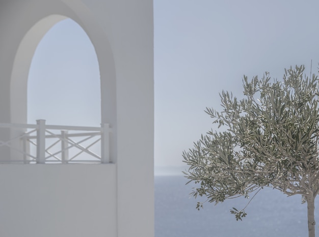 Photo gratuite seul arbre à feuilles vertes près d'un bâtiment blanc recouvert de brouillard près de la belle mer