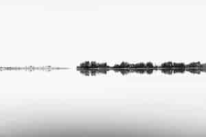 Photo gratuite shoot en niveaux de gris d'une gamme d'arbres se reflétant dans l'eau