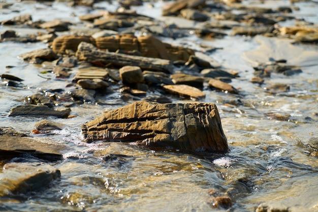 Shore de la plage avec des roches