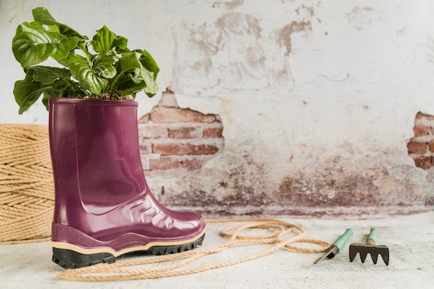 Showplant dans la botte en caoutchouc wellington violette avec corde et outils de jardinage contre un vieux mur