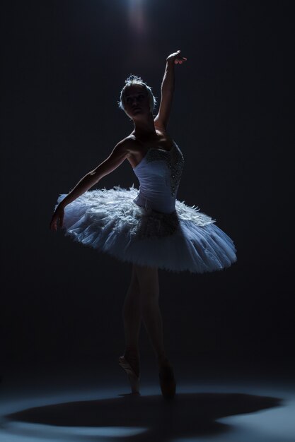 Silhouette de la ballerine dans le rôle d'un cygne blanc sur fond dack