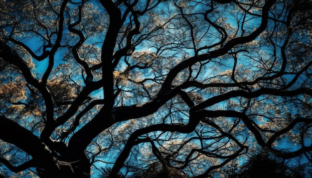 Photo gratuite silhouette de branche d'arbre rétro-éclairée au crépuscule générée par l'ia