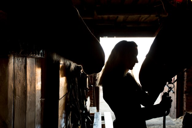 Silhouette élégante de cheval contre le ciel d'aube