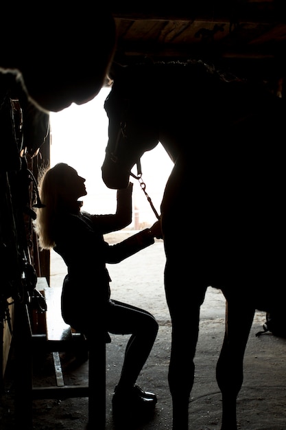 Silhouette élégante de cheval contre le ciel d'aube