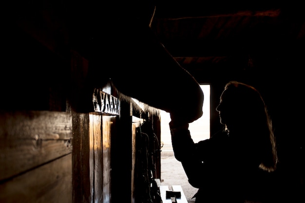 Silhouette élégante de cheval contre le ciel d'aube