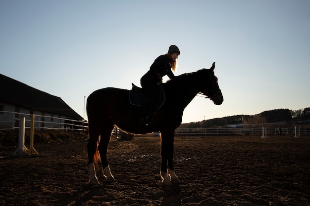 Silhouette élégante de cheval contre le ciel d'aube